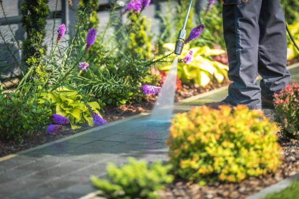 Best Parking Lot and Garage Cleaning  in Lake Leann, MI