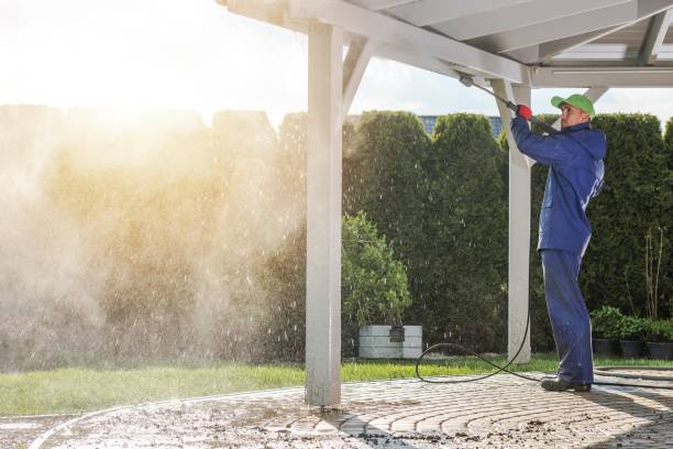 Best House Exterior Washing  in Lake Leann, MI