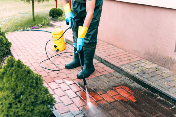 Best Oil Spill Cleanup  in Lake Leann, MI