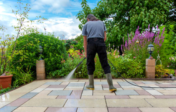 Best Driveway Pressure Washing  in Lake Leann, MI