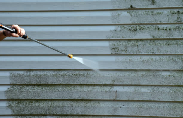 Best Solar Panel Cleaning  in Lake Leann, MI