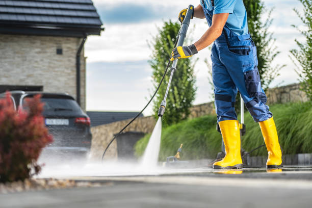 Best Roof Washing  in Lake Leann, MI
